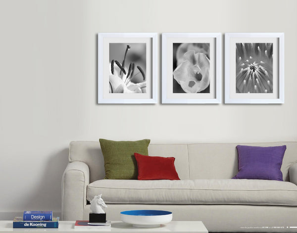 Homeworth 3 PCS PHOTO FRAME ITEM NO. HF35E 16"X20"/A3 - Babyworth