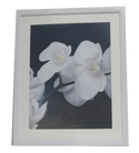 Homeworth   Photo Frames Certificate Frames A4 A3 A2 4X6 5X7 8X10 11X14 12X16 16X20 20X24 White Color - Babyworth