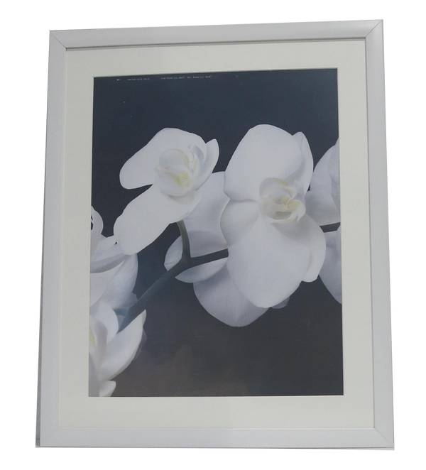 Homeworth   Photo Frames Certificate Frames A4 A3 A2 4X6 5X7 8X10 11X14 12X16 16X20 20X24 White Color - Babyworth