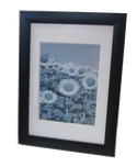 Homeworth   Photo Frames Certificate Frames Black Color - Babyworth