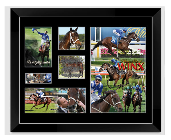 Limited Edition WINX Artworks for Print/Poster, Framed Print, Stretched Canvas, Stretched Canvas With Float Frame - Babyworth