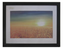 Homeworth   Photo Frames Certificate Frames Series White / Black / Timber - Babyworth