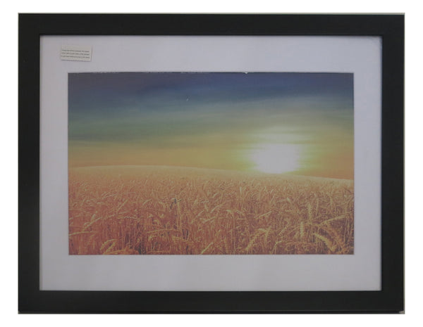 Homeworth   Photo Frames Certificate Frames Series White / Black / Timber - Babyworth