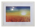 Homeworth   Photo Frames Certificate Frames Series White / Black / Timber - Babyworth