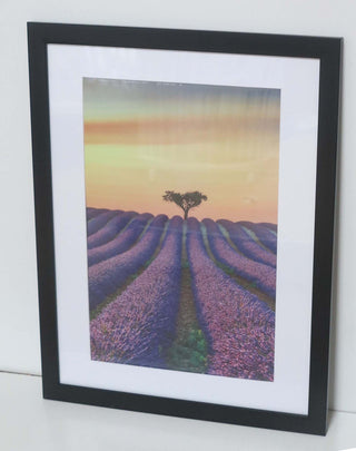 Homeworth   Photo Frames Certificate Frames Series White / Black / Timber - Babyworth