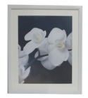 Homeworth Photo Frames Certificate Frames Black Color - Babyworth