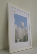 Homeworth   Photo Frames Certificate Frames Series White / Black / Timber - Babyworth