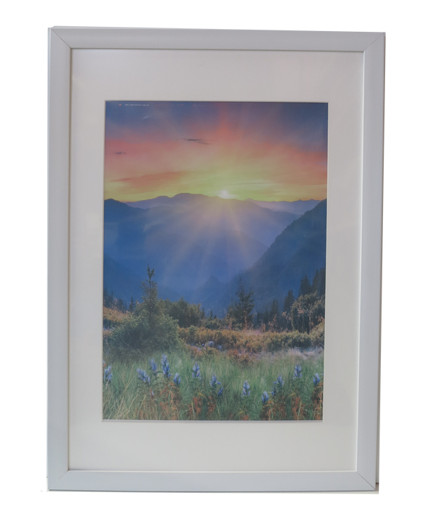 Homeworth   Photo Frames Certificate Frames Series White / Black / Timber - Babyworth