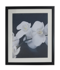 Homeworth   Photo Frames Certificate Frames Series White / Black / Timber - Babyworth