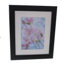 Homeworth   Photo Frames Certificate Frames Series White / Black / Timber - Babyworth
