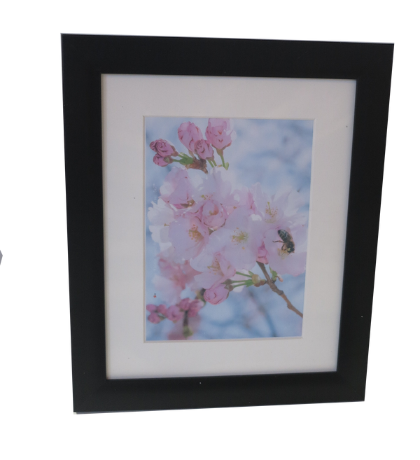 Homeworth   Photo Frames Certificate Frames Series White / Black / Timber - Babyworth