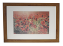 Homeworth   Photo Frames Certificate Frames Series White / Black / Timber - Babyworth