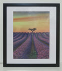 Homeworth   Photo Frames Certificate Frames Series White / Black / Timber - Babyworth