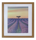 Homeworth   Photo Frames Certificate Frames Series White / Black / Timber - Babyworth