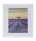 Homeworth   Photo Frames Certificate Frames Series White / Black / Timber - Babyworth