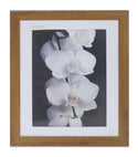 Homeworth   Photo Frames Certificate Frames Series White / Black / Timber - Babyworth