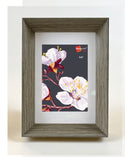 Homeworth Angled Picture Frame For Photo Series Sizes - Babyworth