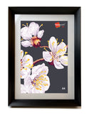 Homeworth Angled Picture Frame For Photo Series Sizes - Babyworth