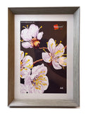 Homeworth Angled Picture Frame For Photo Series Sizes - Babyworth