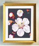 Homeworth Angled Picture Frame For Photo Series Sizes - Babyworth
