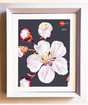 Homeworth Angled Picture Frame For Photo Series Sizes - Babyworth
