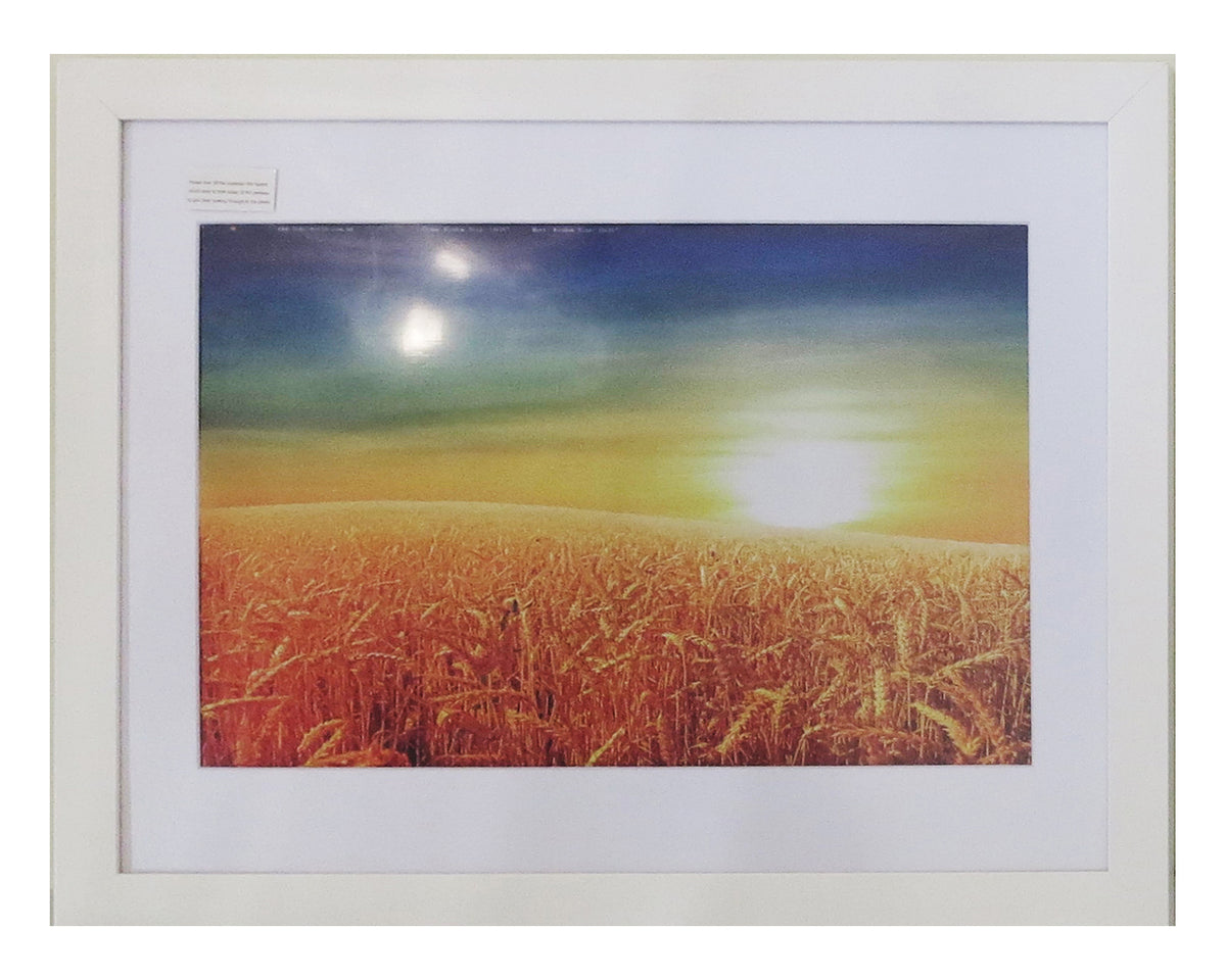 Homeworth  Picture Frames Certificate Frames Black White Timber Color - Babyworth