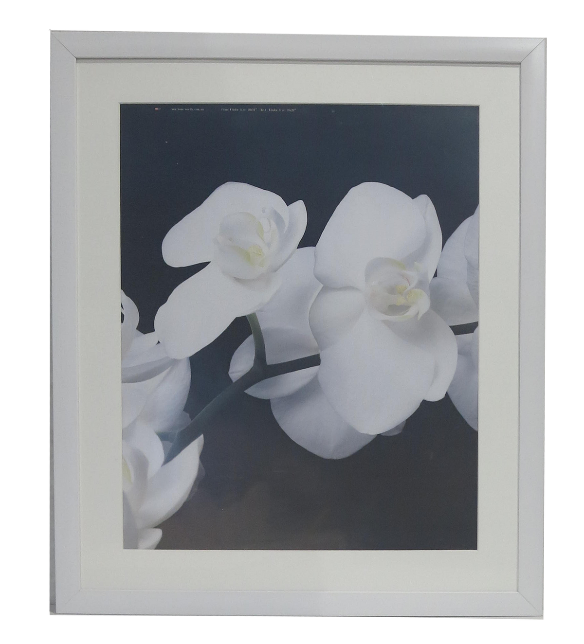 Homeworth Photo Frames Certificate Frames Black Color - Babyworth