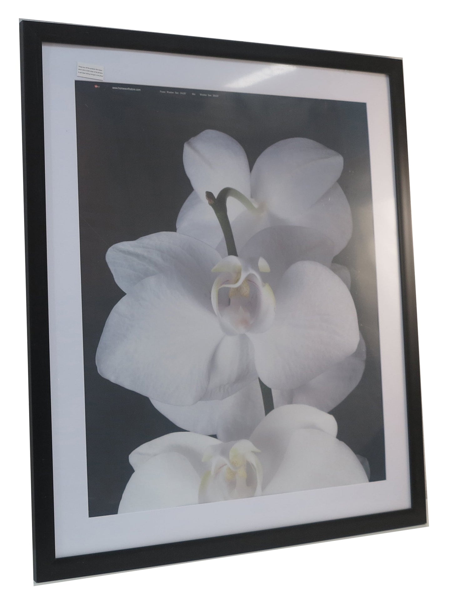 Homeworth  Picture Frames Certificate Frames Black White Timber Color - Babyworth
