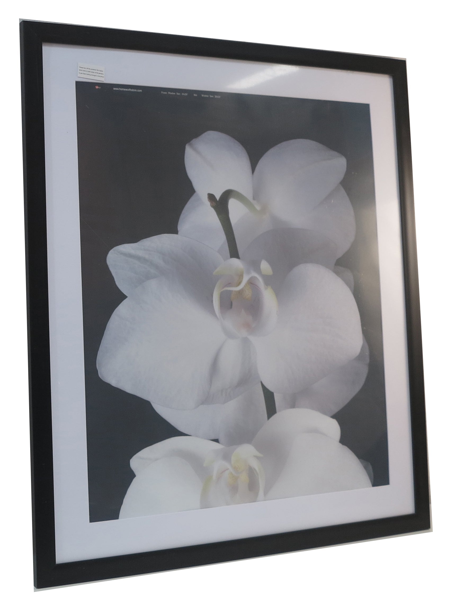 Homeworth  Picture Frames Certificate Frames Black White Timber Color - Babyworth