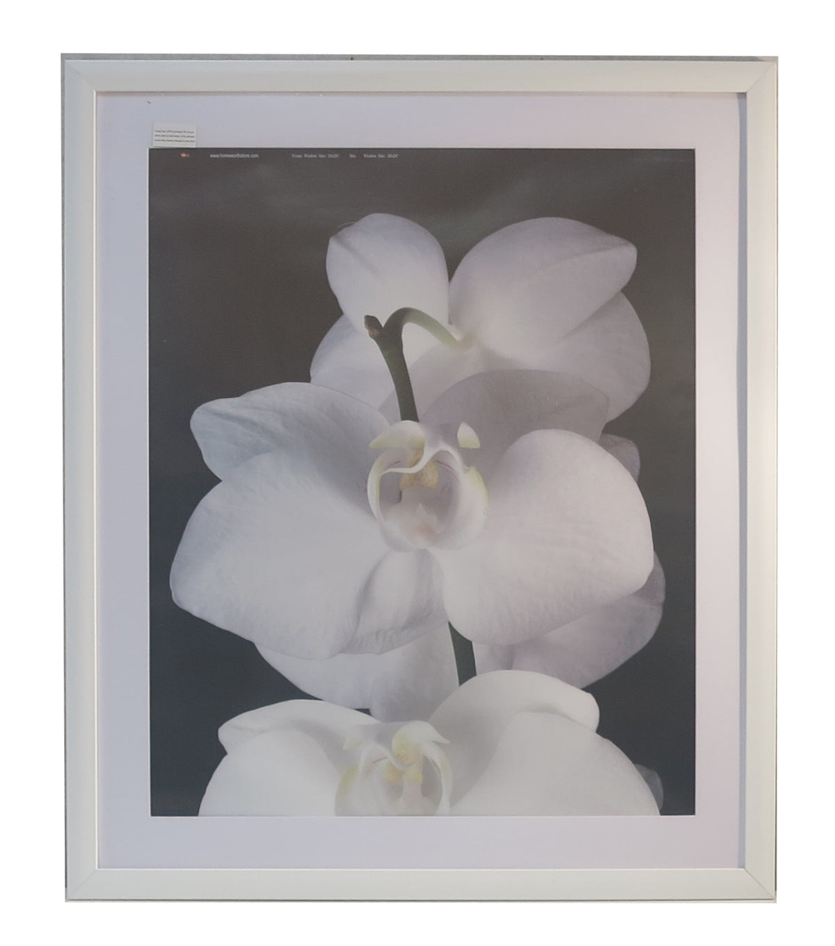 Homeworth  Picture Frames Certificate Frames Black White Timber Color - Babyworth