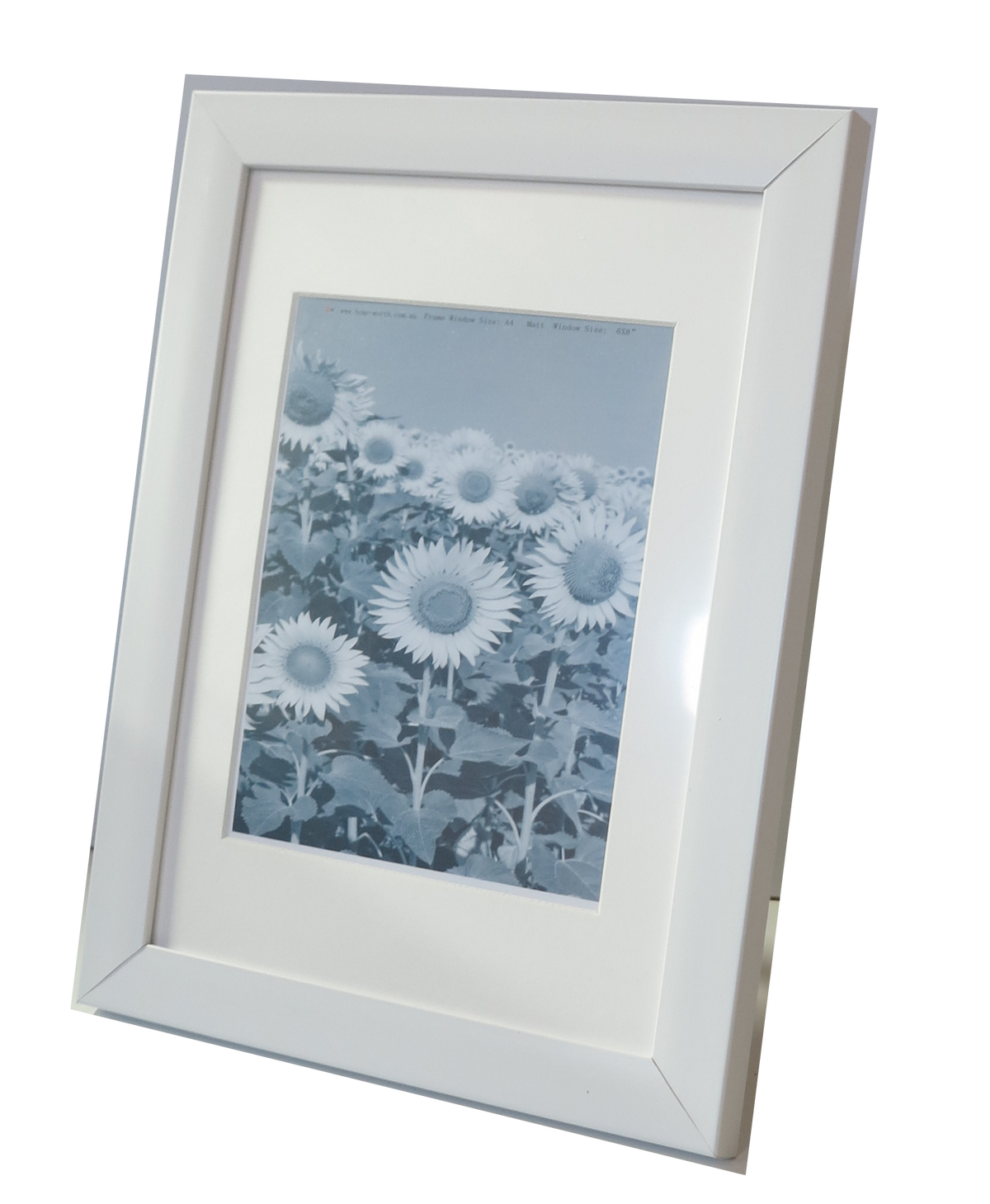 Homeworth  Picture Frames Certificate Frames Black White Timber Color - Babyworth