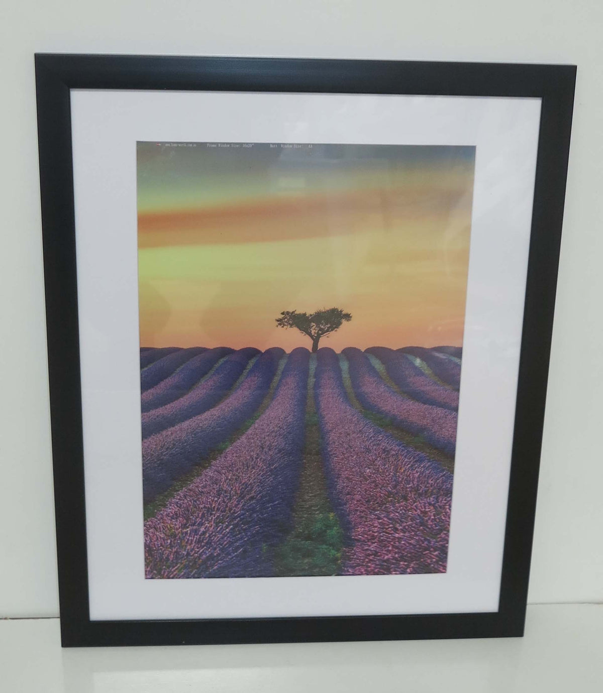Homeworth  Picture Frames Certificate Frames Black White Timber Color - Babyworth