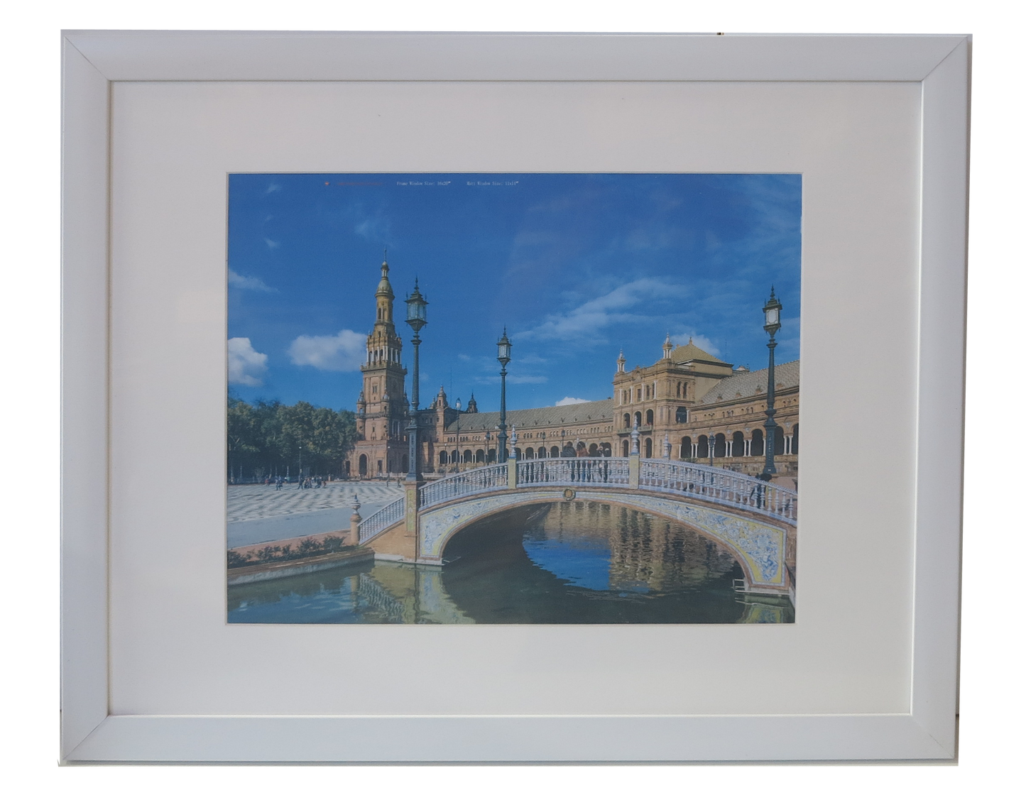 Homeworth   Photo Frames Certificate Frames Series White / Black / Timber - Babyworth