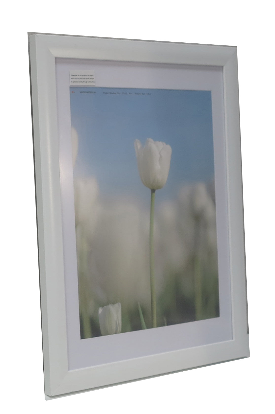 Homeworth  Picture Frames Certificate Frames Black White Timber Color - Babyworth