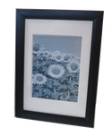 Homeworth  Picture Frames Certificate Frames Black White Timber Color - Babyworth