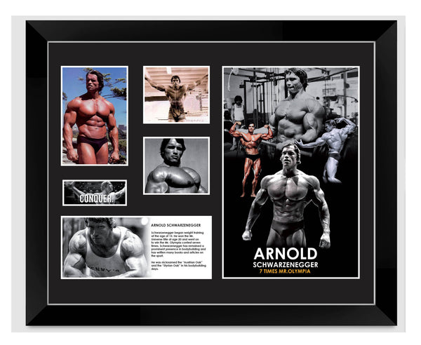Limited Edition Arnold Schwarzenegger Artworks for Print/Poster, Framed Print, Stretched Canvas, Stretched Canvas With Float Frame - Babyworth