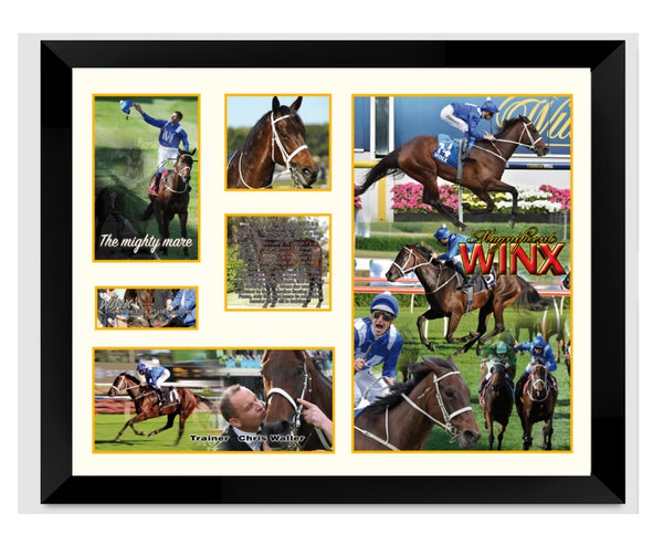 Limited Edition WINX B Artworks for Print/Poster, Framed Print, Stretched Canvas, Stretched Canvas With Float Frame - Babyworth