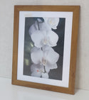 Picture Frame For Photo / Picture / Certificate  Size A4 ( 21x29.7 cm ) - Babyworth