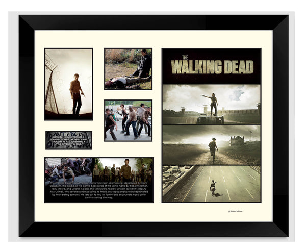 Limited Edition The Walking Dead Artworks for Print/Poster, Framed Print, Stretched Canvas, Stretched Canvas With Float Frame - Babyworth